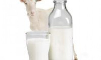 Козье молоко - польза