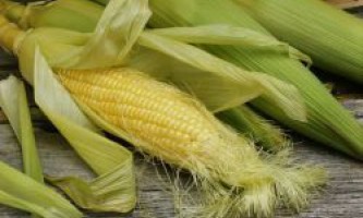 Кукурузные рыльца - лечебные свойства